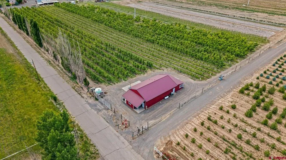 20813 Nowhere Road Eckert, CO 81418