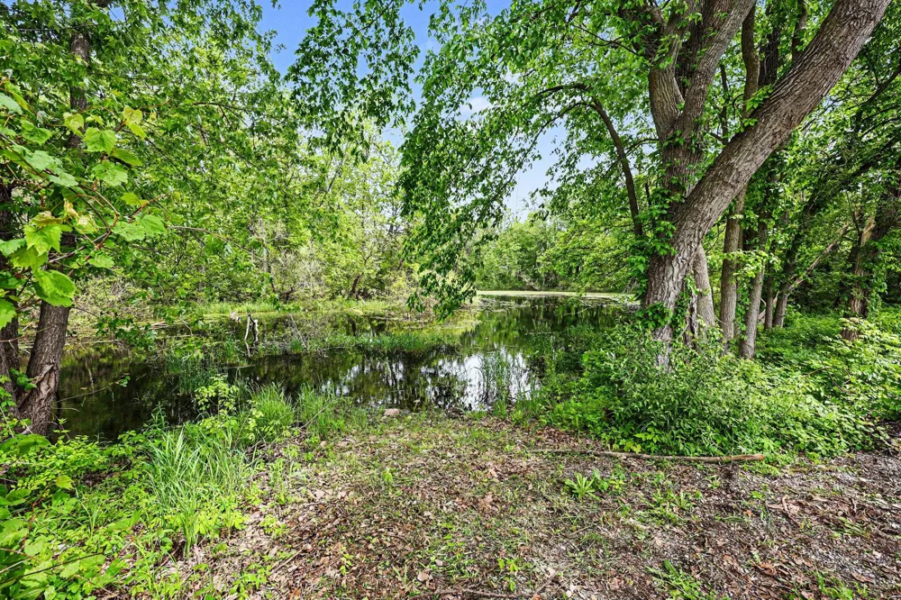 10955 Sooten Road Manchester, MI 48158