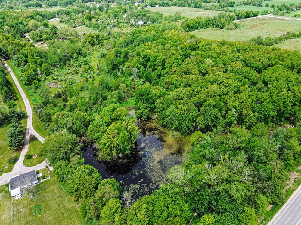 10955 Sooten Road Manchester, MI 48158