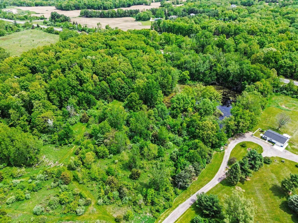 10955 Sooten Road Manchester, MI 48158