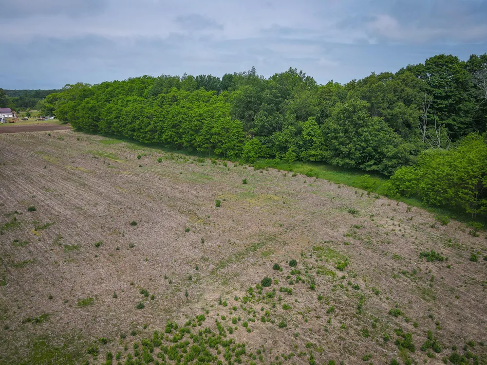 W Johnson Road Shelby, MI 49455
