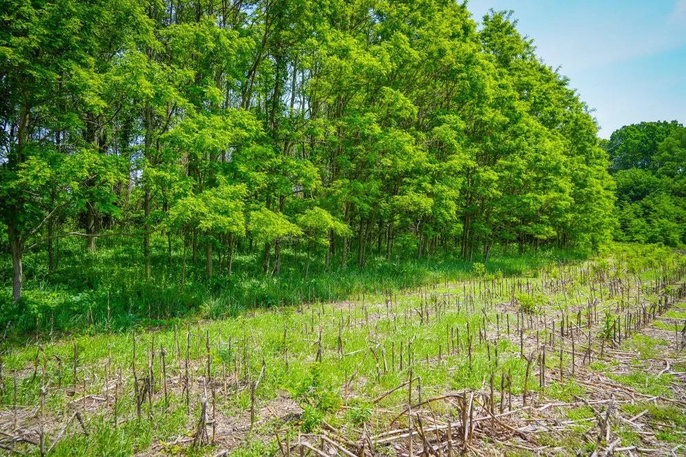 W Johnson Road Shelby, MI 49455