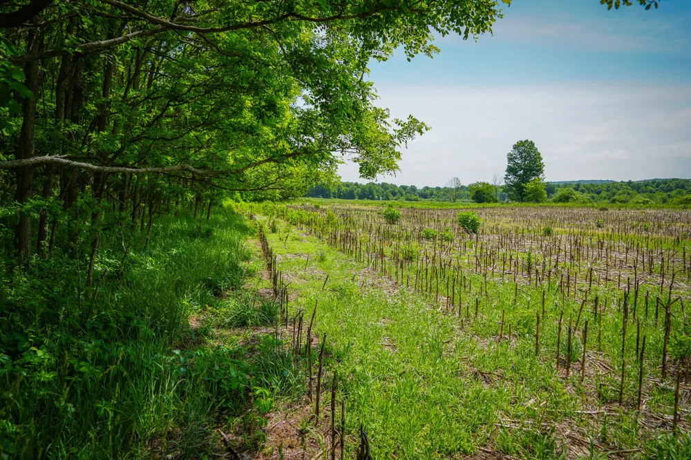 W Johnson Road Shelby, MI 49455