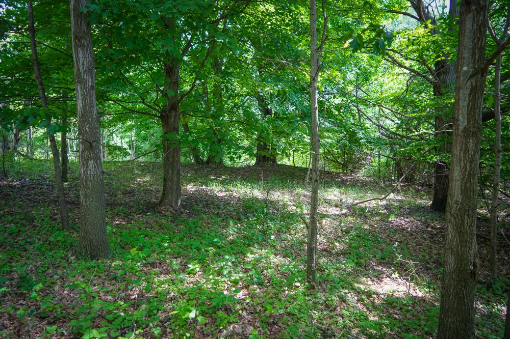 W Johnson Road Shelby, MI 49455