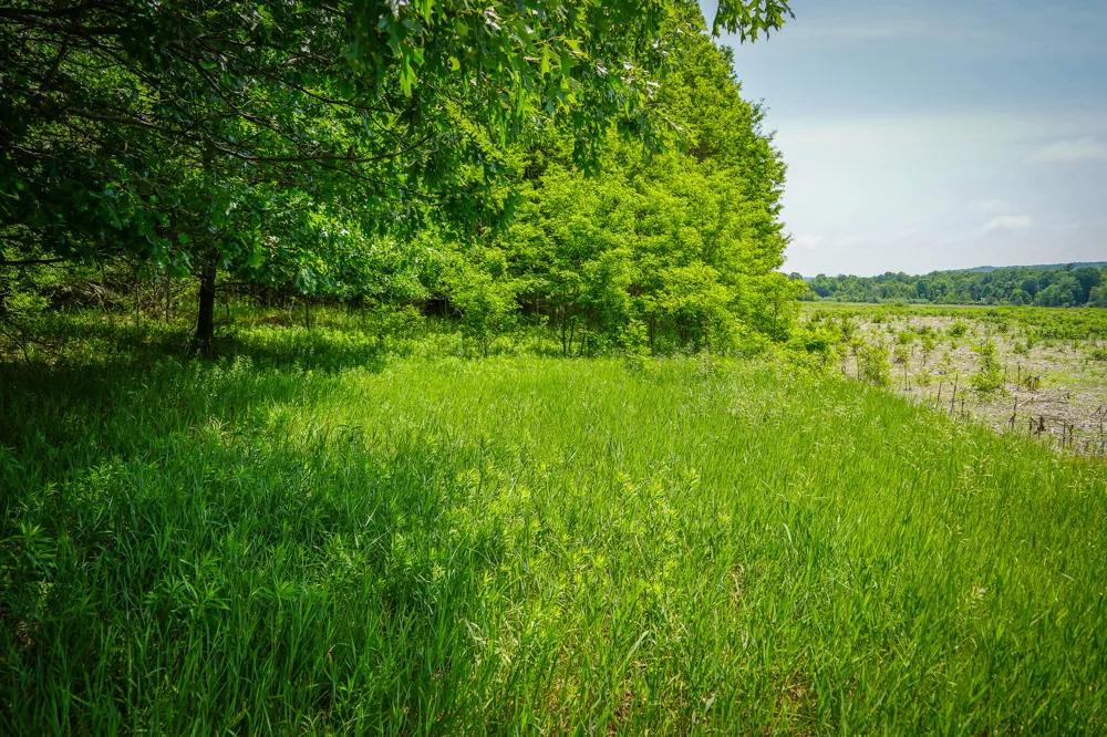 W Johnson Road Shelby, MI 49455