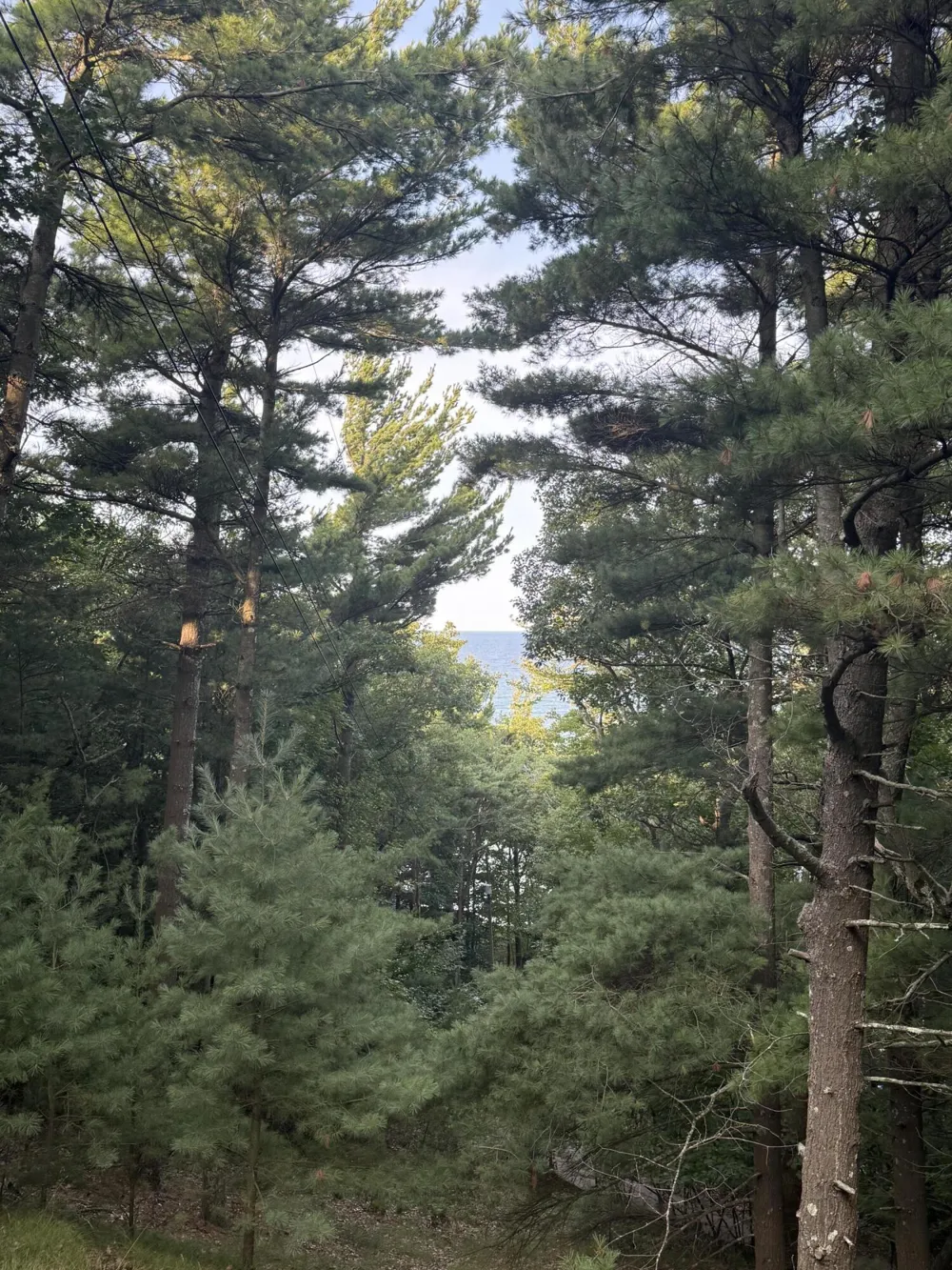 Hemlock Trail Shelby, MI 49455