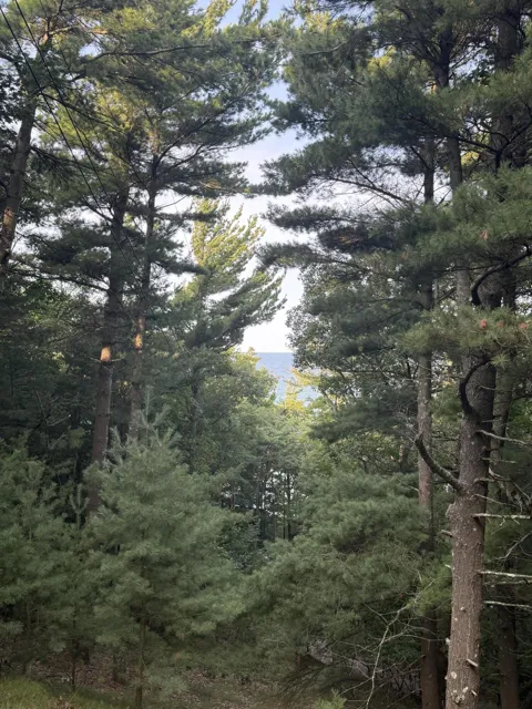 Hemlock Trail