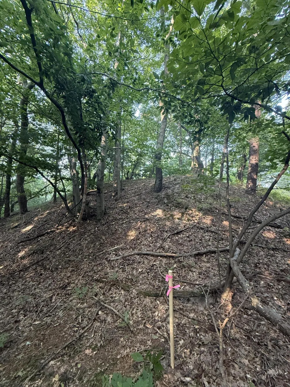 Hemlock Trail Shelby, MI 49455