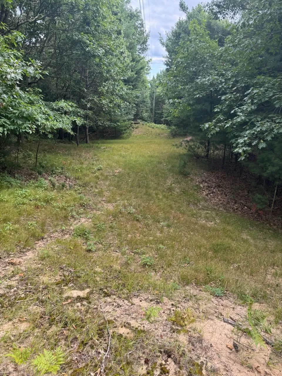 Hemlock Trail Shelby, MI 49455