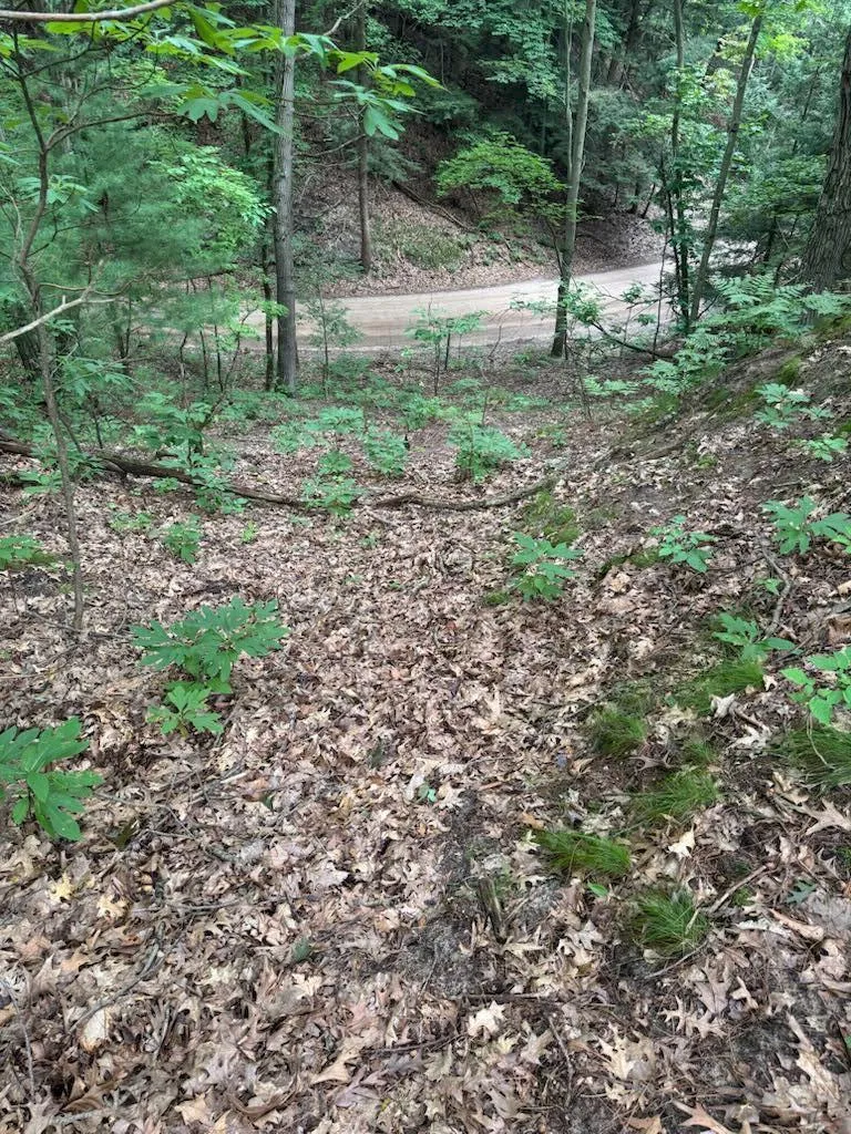 Hemlock Trail Shelby, MI 49455