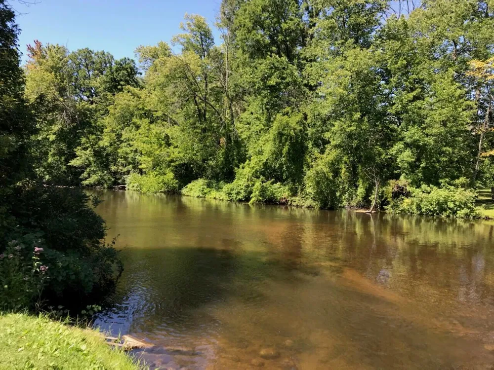1011 S Riverview Drive Hesperia, MI 49421