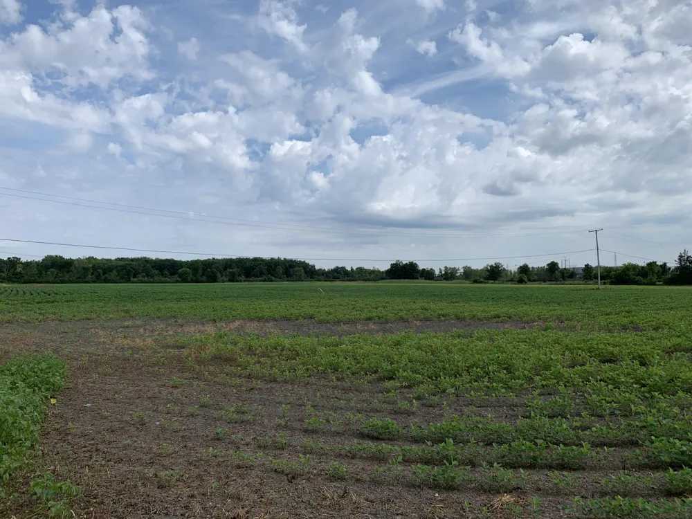 Gibraltar Road Flat Rock, MI 48134