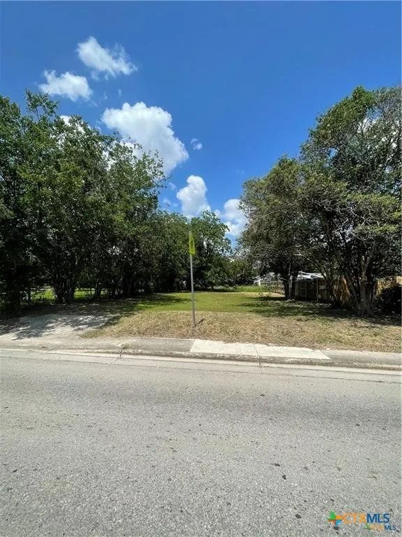 1006 Guadalupe Street Seguin, TX 78155