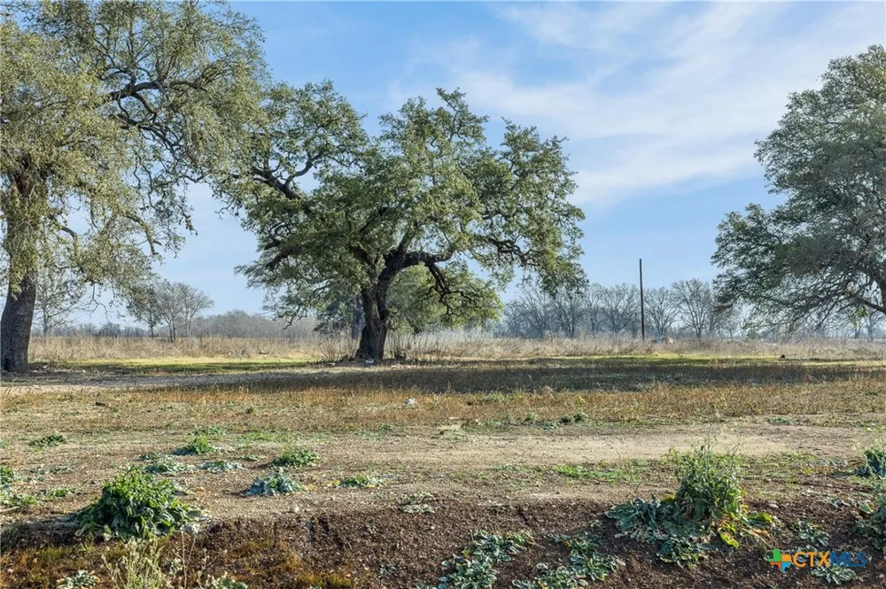528 NW River Road Martindale, TX 78655
