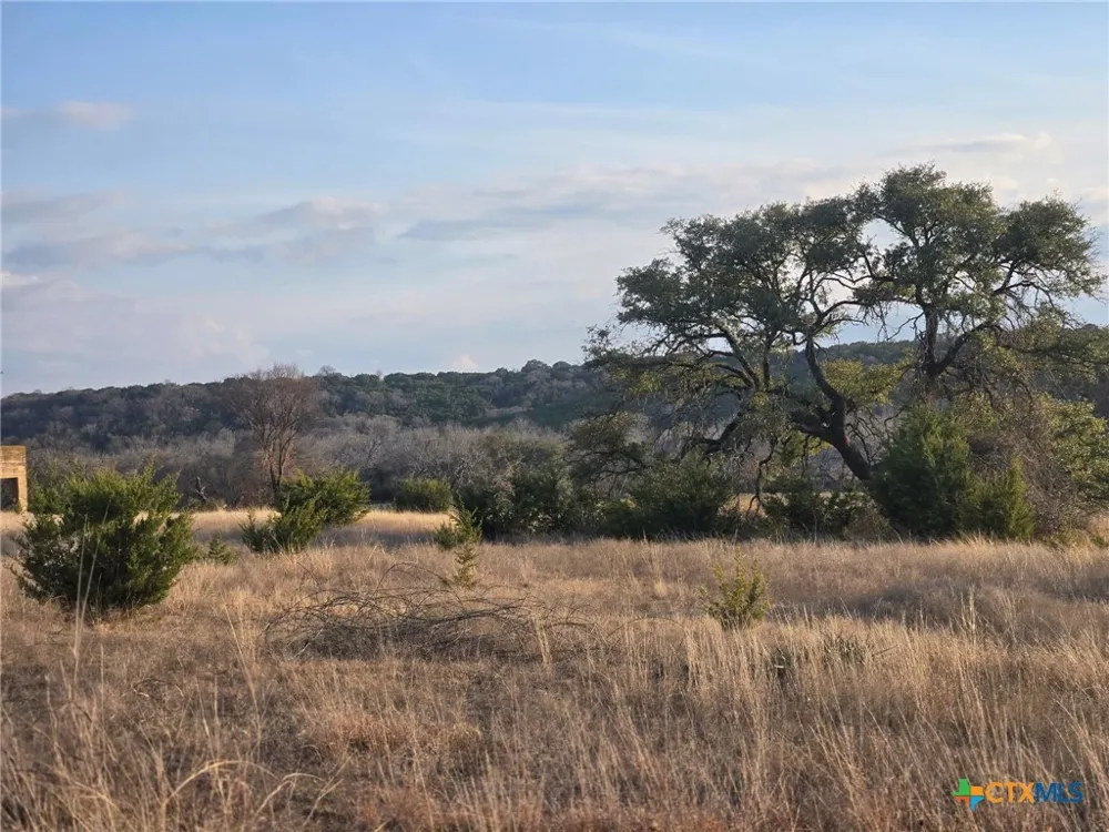 205 Grand Canyon Drive Oglesby, TX 76561