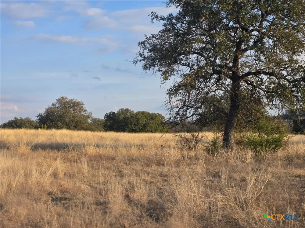 205 Grand Canyon Drive Oglesby, TX 76561