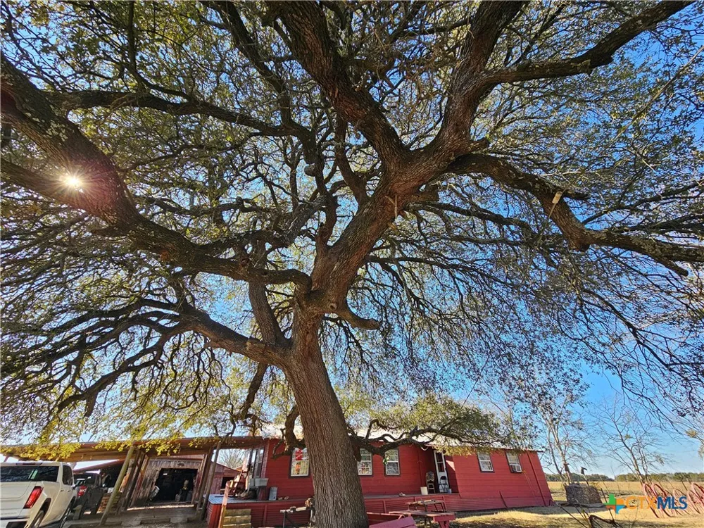 2051 County Road 3155 Valley Mills, TX 76689