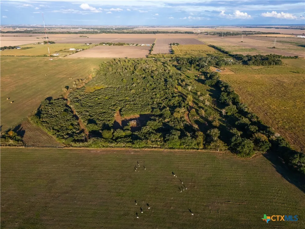 CR 325 Louise, TX 77455
