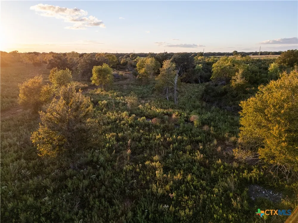 CR 325 Louise, TX 77455