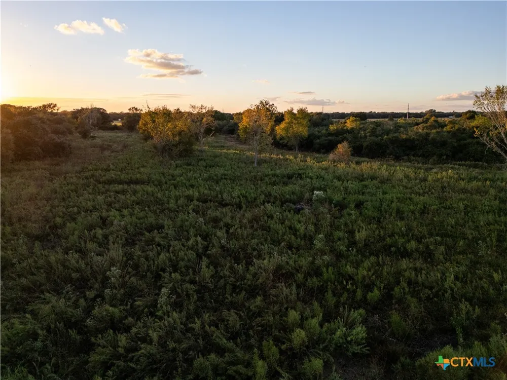 CR 325 Louise, TX 77455