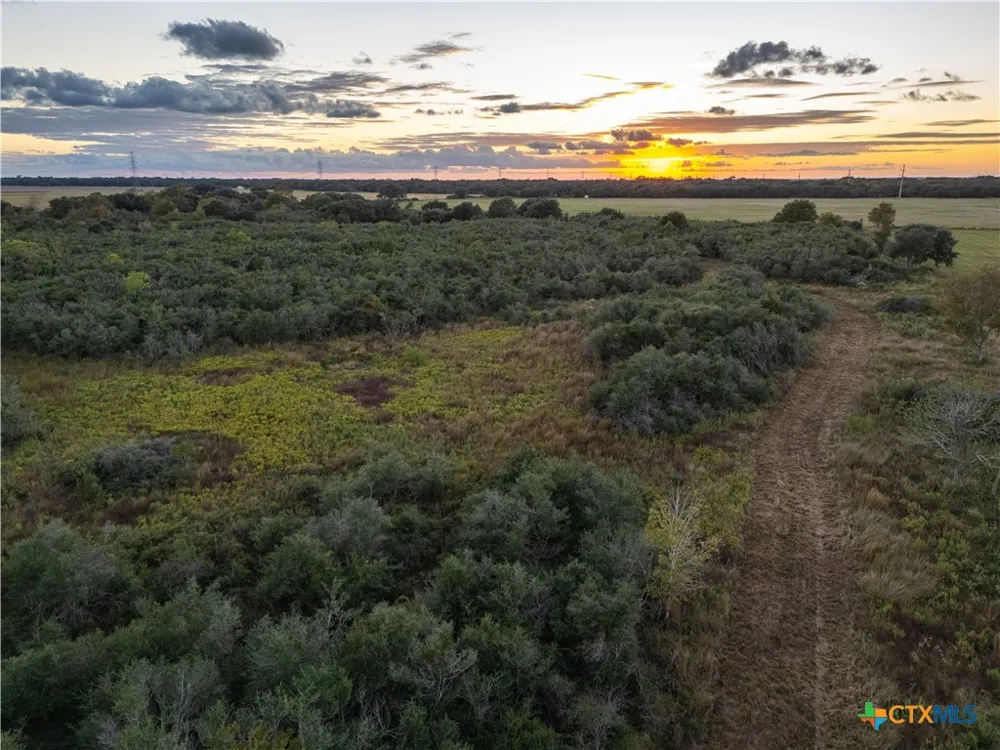 CR 325 Louise, TX 77455