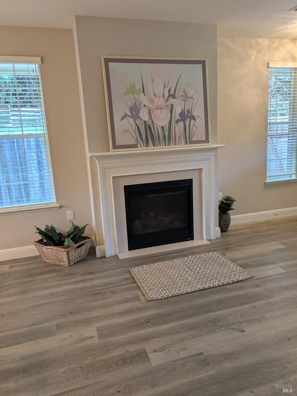 14639 Jomark Lane Occidental, CA 95465