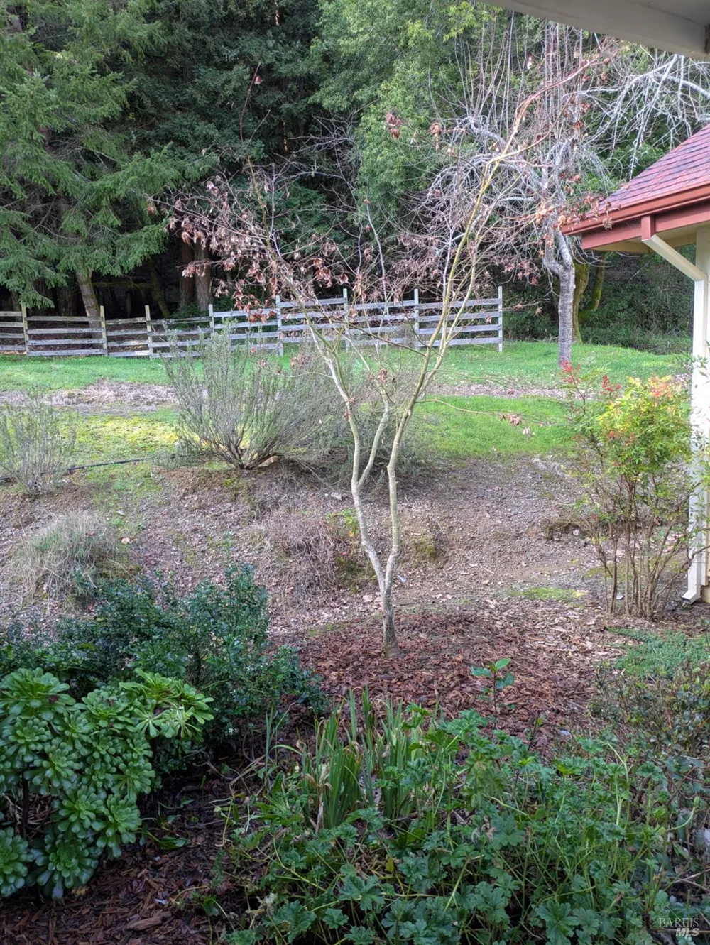 14639 Jomark Lane Occidental, CA 95465