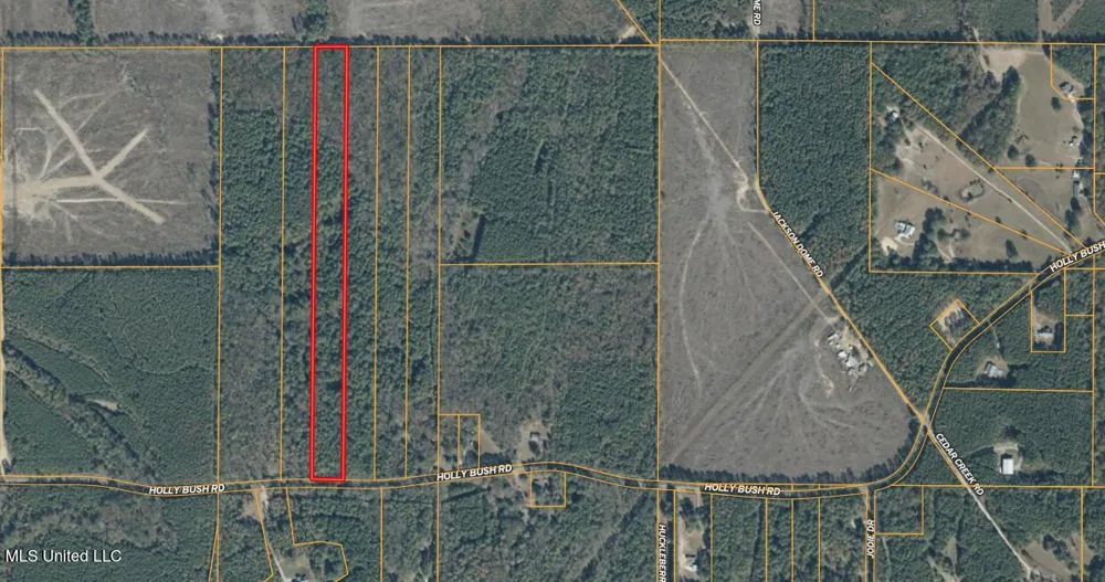 0000 Holly Bush Road Pelahatchie, MS 39145