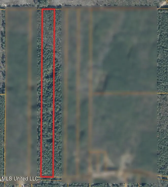 0000 Holly Bush Road Pelahatchie, MS 39145