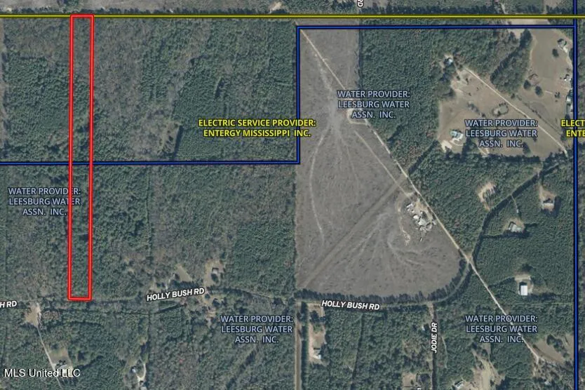 0000 Holly Bush Road Pelahatchie, MS 39145