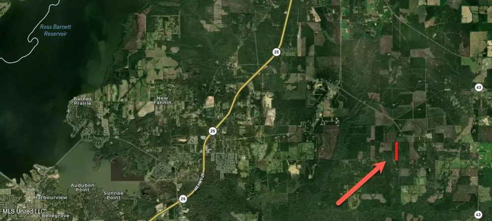 0000 Holly Bush Road Pelahatchie, MS 39145