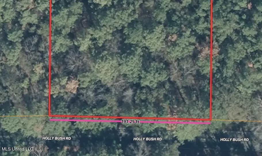 0000 Holly Bush Road Pelahatchie, MS 39145