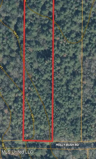0000 Holly Bush Road Pelahatchie, MS 39145