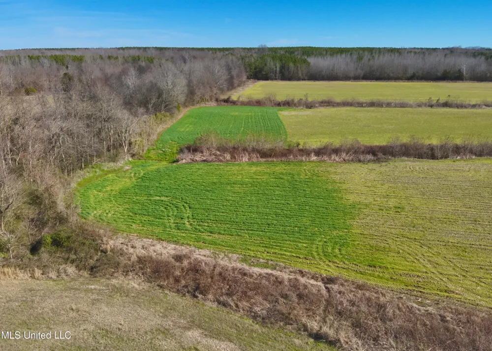 Springhill Road Lexington, MS 39095