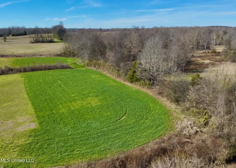 Springhill Road Lexington, MS 39095
