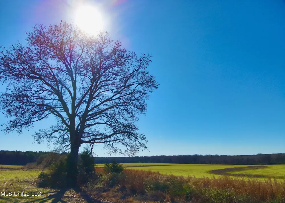 Newport Road Lexington, MS 39095