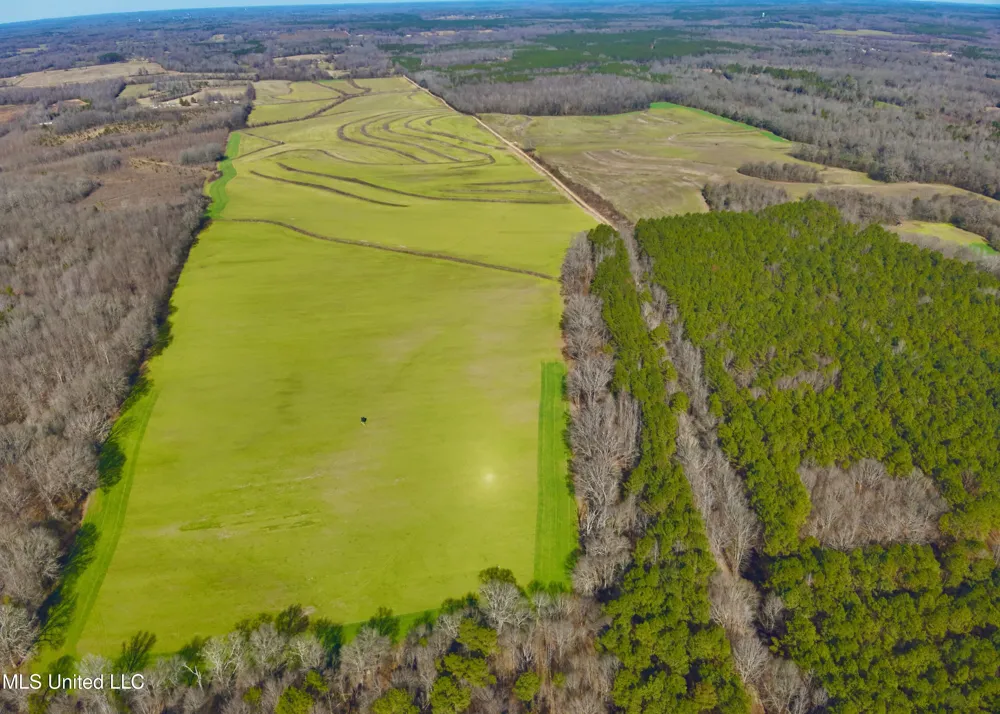 Newport Road Lexington, MS 39095