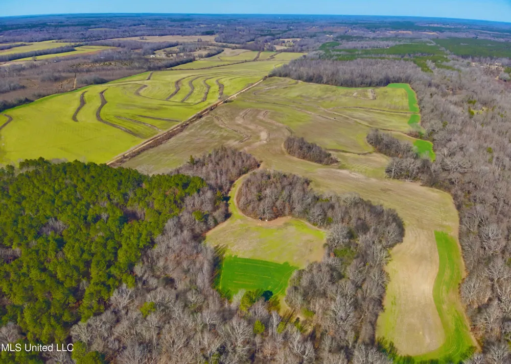 Newport Road Lexington, MS 39095