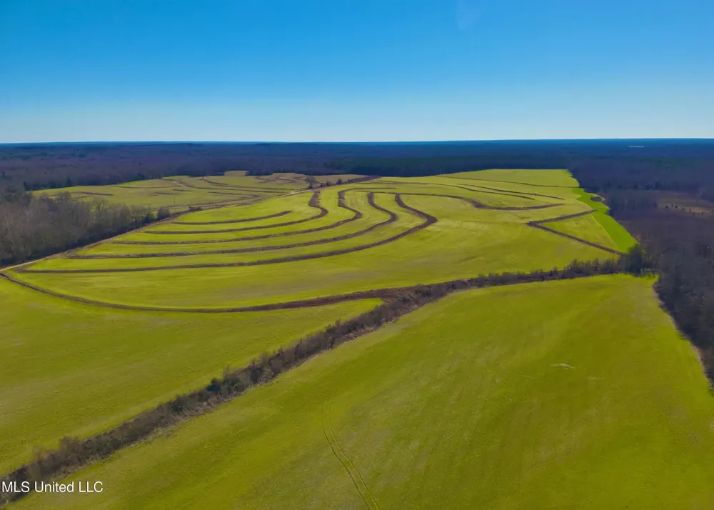Newport Road Lexington, MS 39095