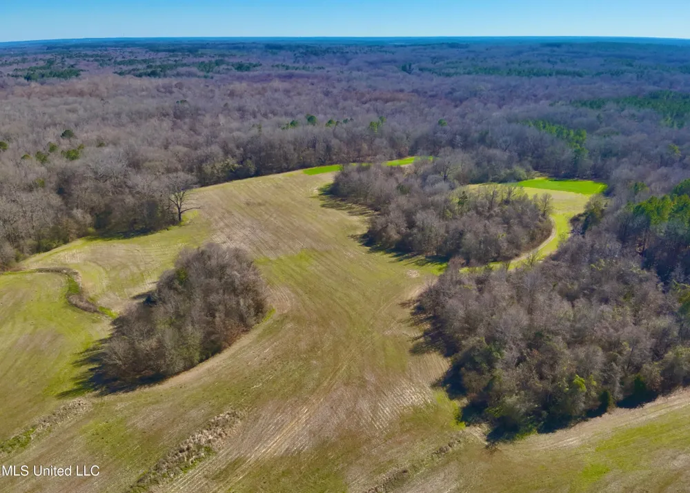 Newport Road Lexington, MS 39095