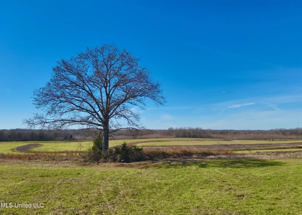 Newport Road Lexington, MS 39095