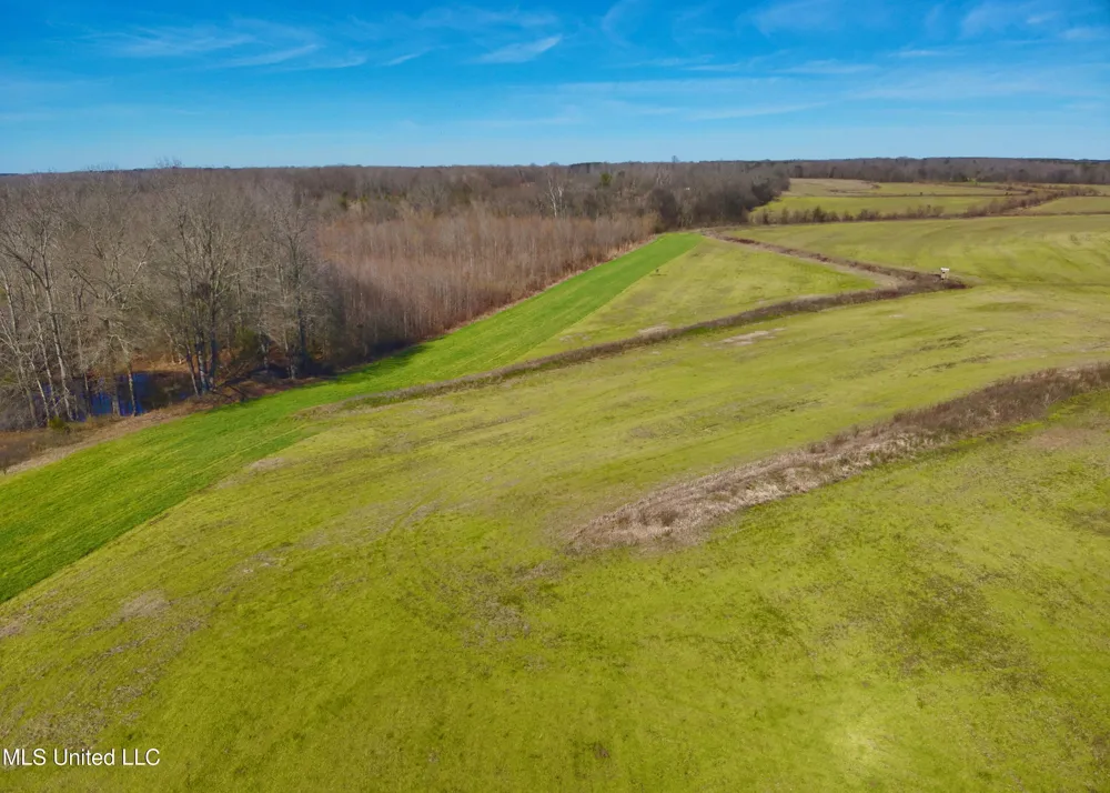 Newport Road Lexington, MS 39095