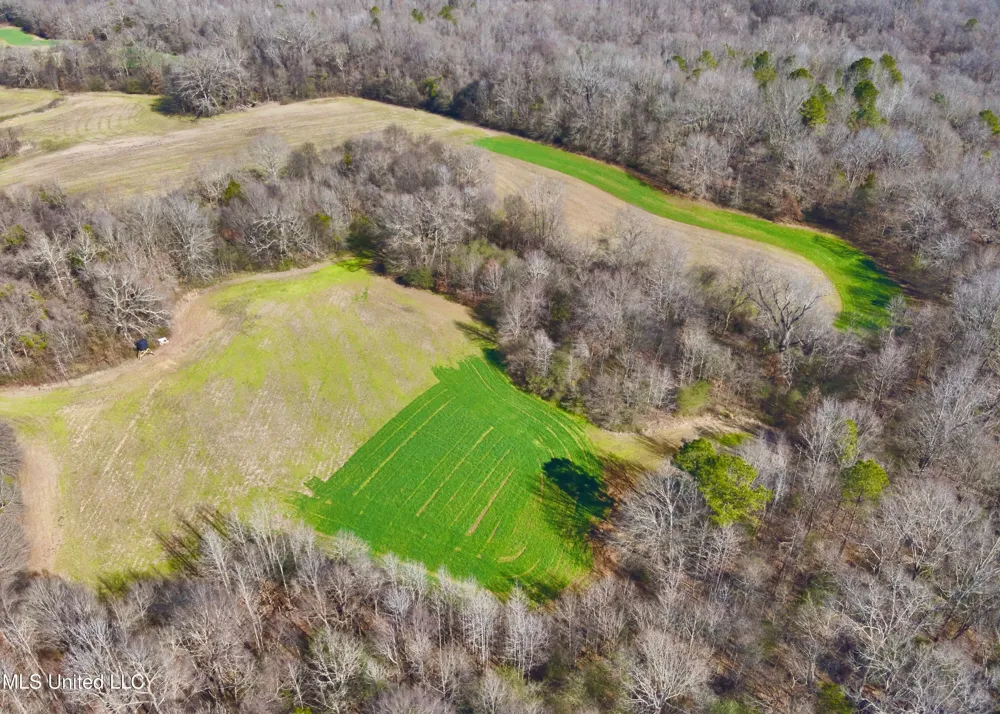 Newport Road Lexington, MS 39095