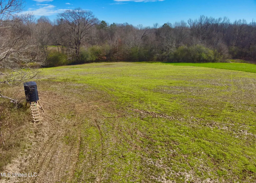 Newport Road Lexington, MS 39095
