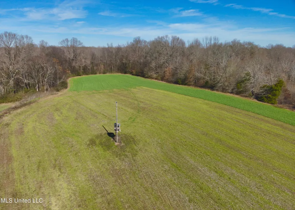 Newport Road Lexington, MS 39095