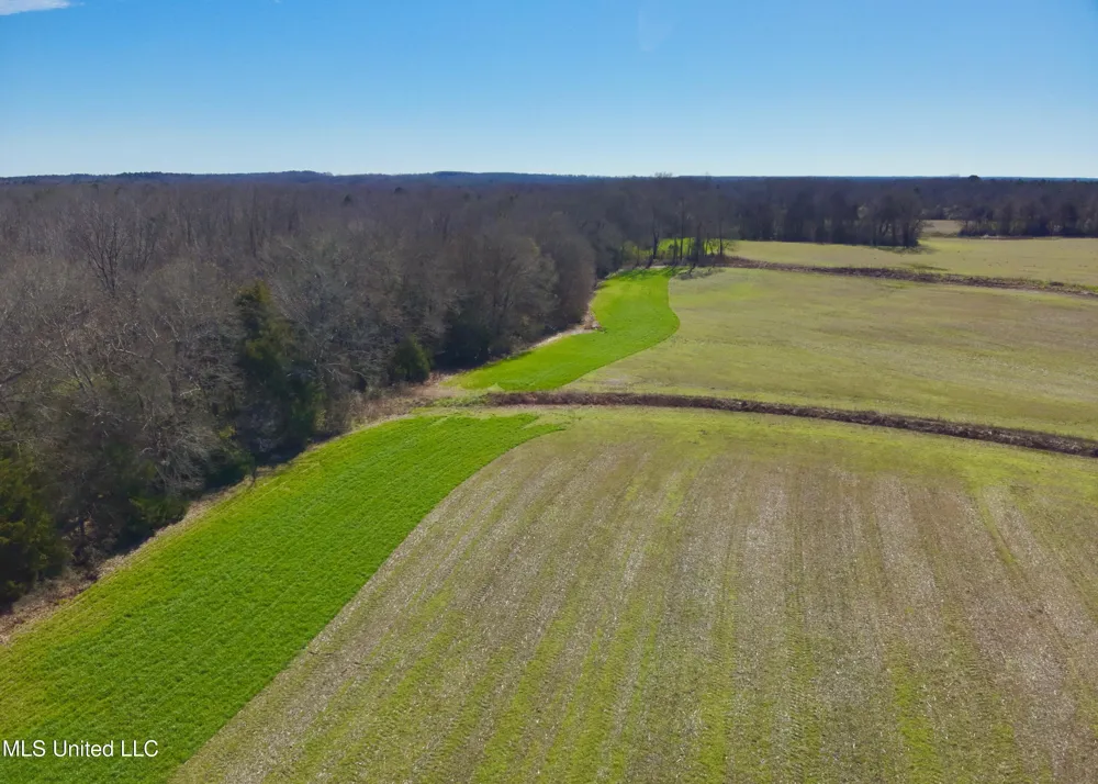 Newport Road Lexington, MS 39095