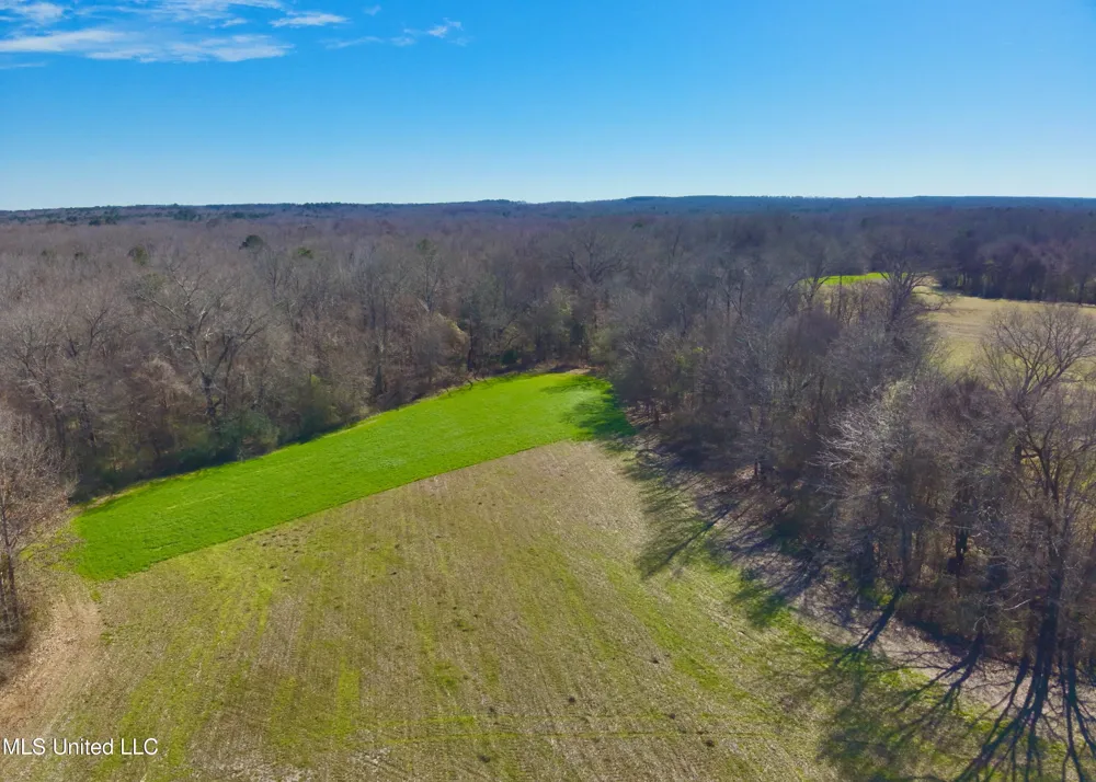Newport Road Lexington, MS 39095