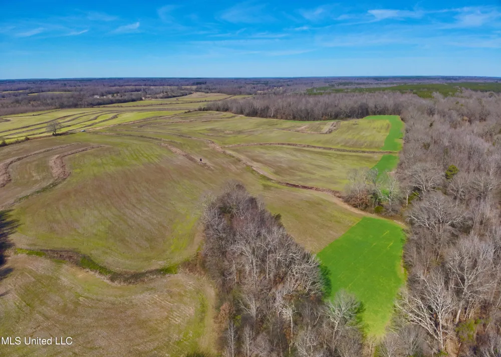 Newport Road Lexington, MS 39095