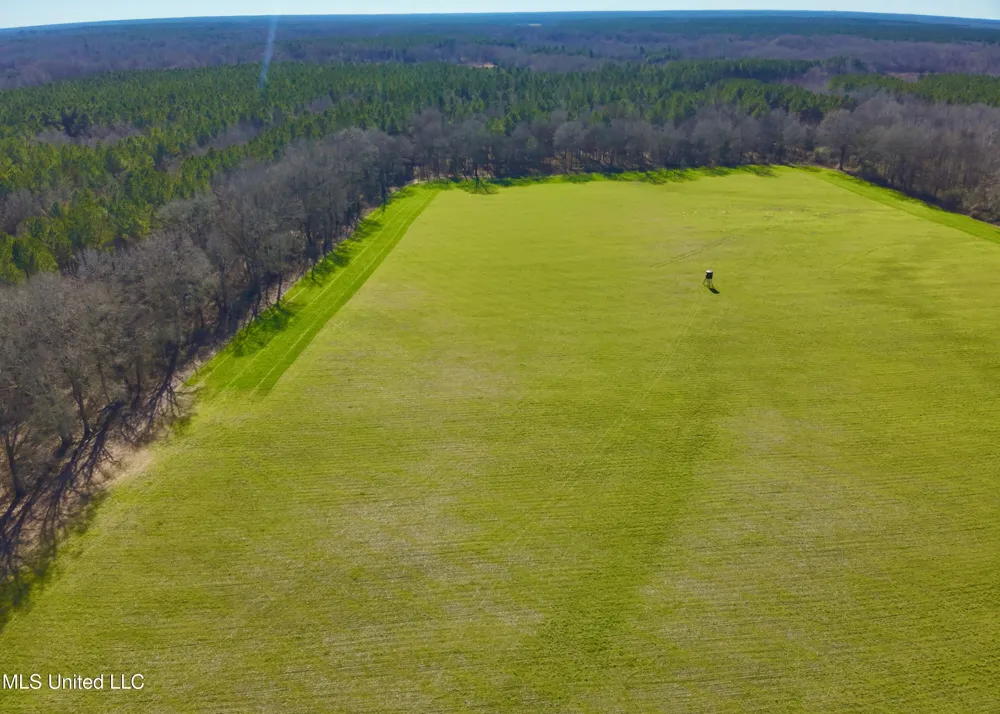 Newport Road Lexington, MS 39095