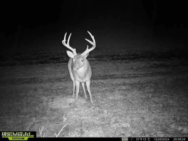 Newport Road Lexington, MS 39095